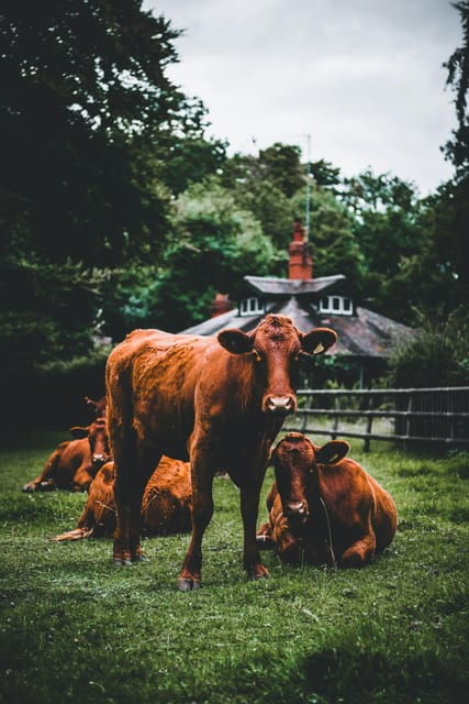 a-day-as-a-farmer-experience
