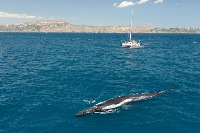 a-day-at-sea-from-denia-or-javea-with-barbecue-aboard-the-catamaran