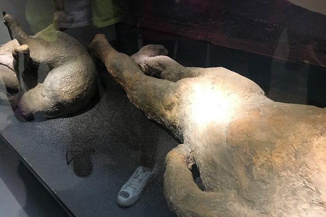 a-day-at-the-museum-natural-history-museum-london-2