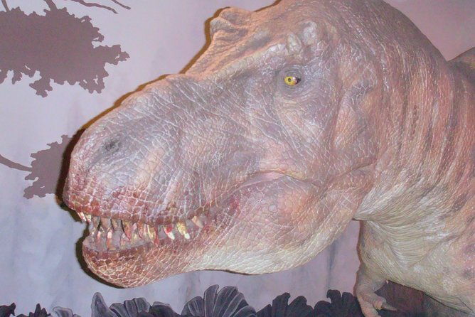 a-day-at-the-museum-natural-history-museum-london