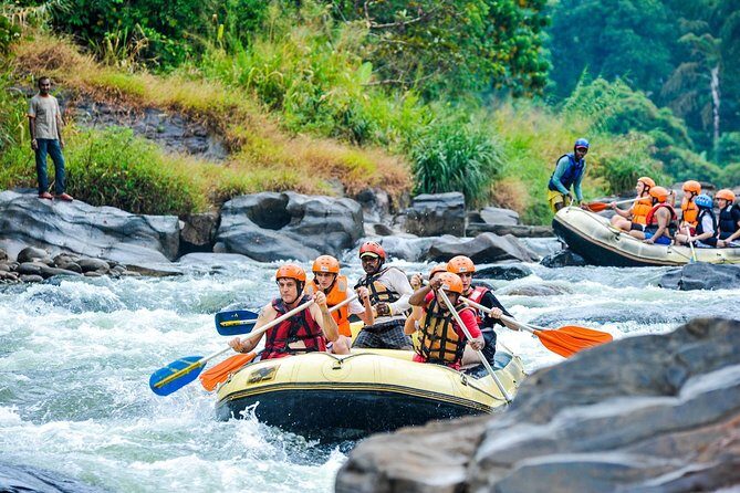 A Day Excursion to Kithulgala Rafting - A Thrilling Day at Kithulgala: White Water Rafting and More