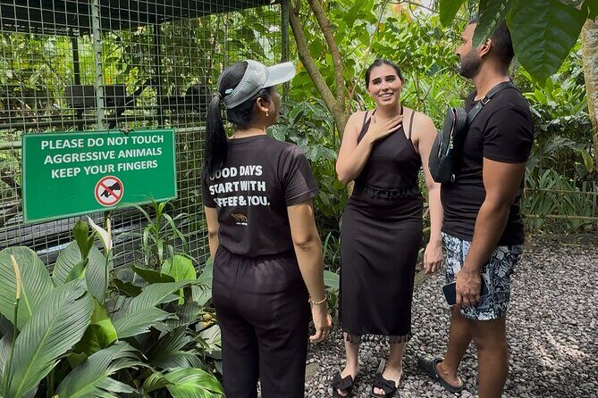 A Day Exploring Ubud - Exploring the Itinerary: What to Expect at Each Stop