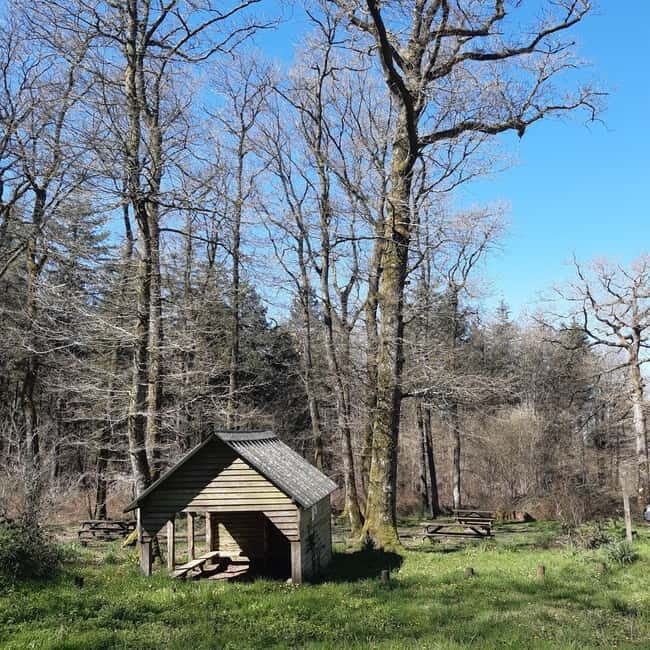 A Day Hike in Mervent Forest (Vendée) - Key Points