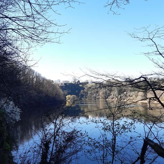 A Day Hike in Mervent Forest (Vendée) - Practical Tips for a Successful Hike