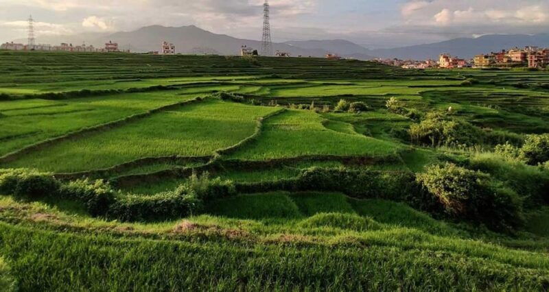 a-day-hiking-from-kathmandu-phulchowki-hill