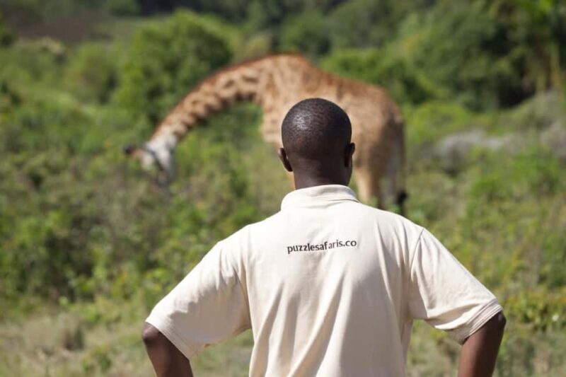A Day in Arusha National Park - Single-Day Trip - Key Points