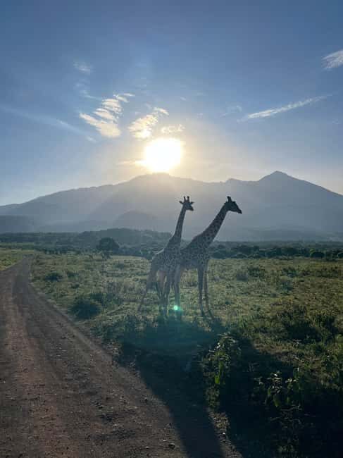 A Day in Arusha National Park - Single-Day Trip - Transportation, Pricing, and Practicalities