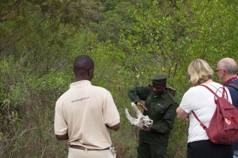 A Day in Arusha National Park - Single-Day Trip - Authentic Insights from Reviewers