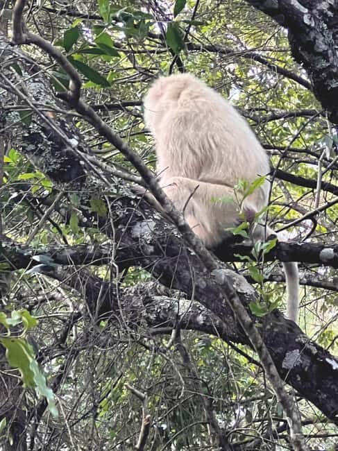 A Day in Arusha National Park - Single-Day Trip - Final Thoughts