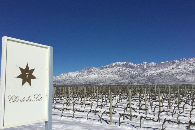 a-day-in-clos-de-los-siete-antucura