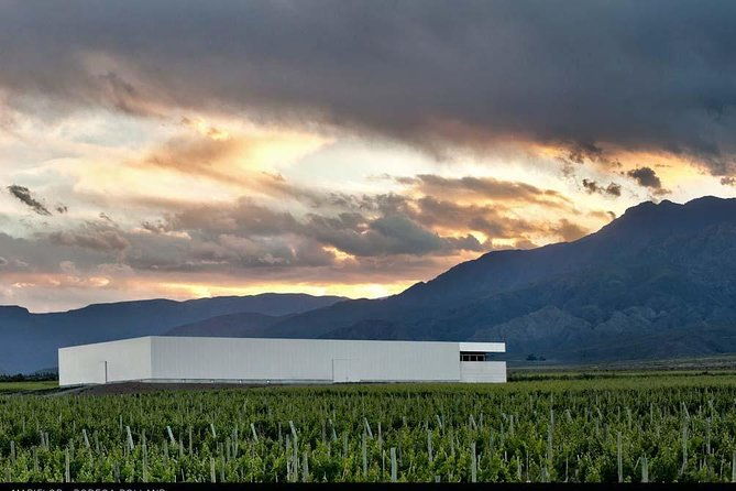 a-day-in-clos-de-los-siete-antucura