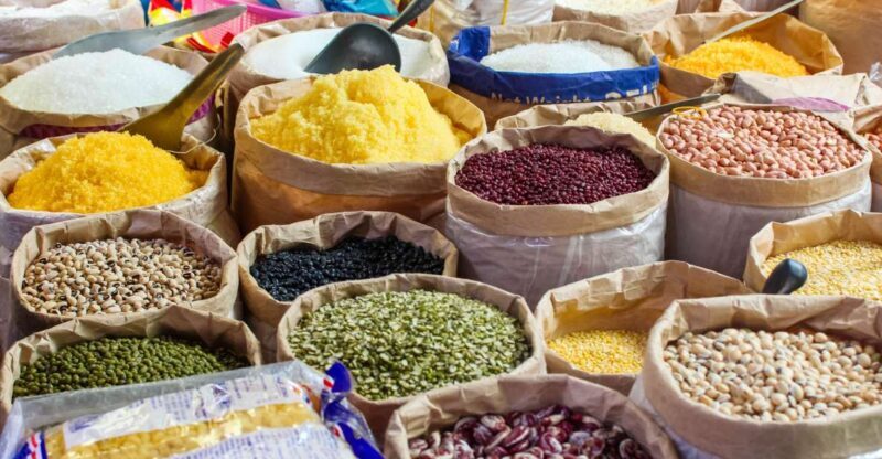 A Day in Munnar: Nature, Culture, and Local Flavor - Who Is This Tour Best For?