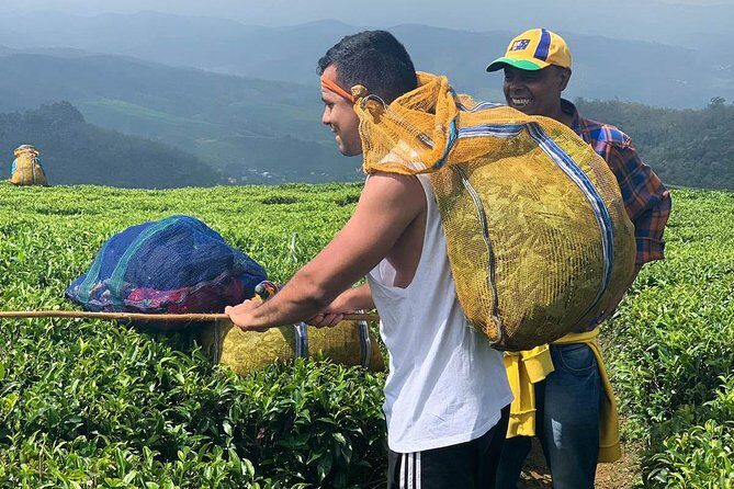 A Day in Nuwara Eliya: Sights & Local Delights - FAQ