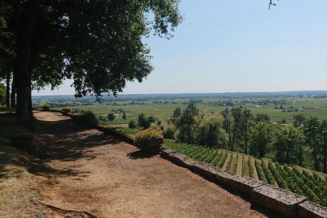 a-day-in-saint-emilion-and-its-chateaux-in-a-private-tour-van-luxe