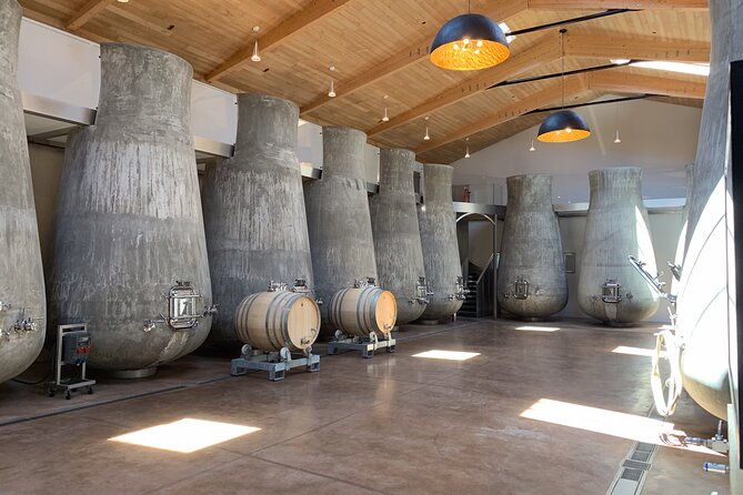 a-day-in-saint-emilion-in-a-small-group-electric-luxury-van-2
