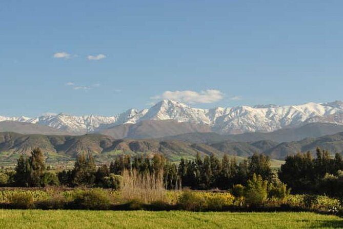 A day in the Ourika valley and in the Atlas - What Makes This Tour Worth Considering?