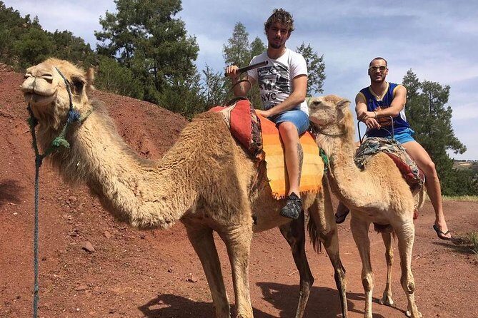 a day in the valley of the ourika and the atlas with a camel ride - FAQ