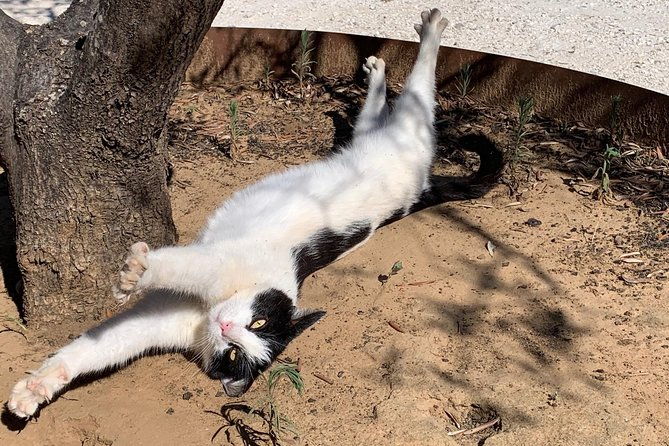 a-day-in-tuscany-medieval-towns