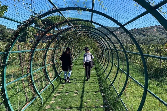 a-day-in-tuscany-medieval-towns