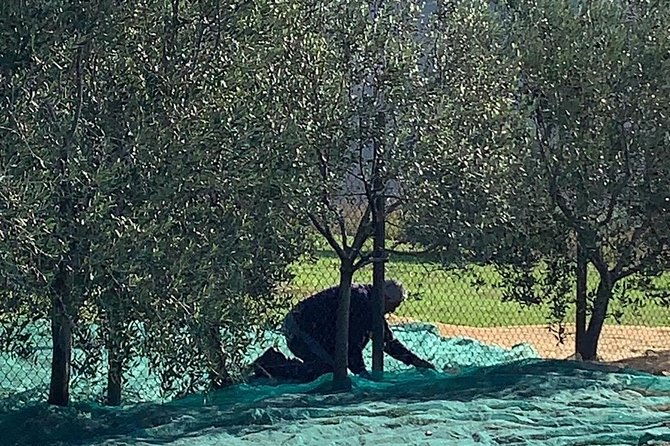 a-day-in-tuscany-medieval-towns