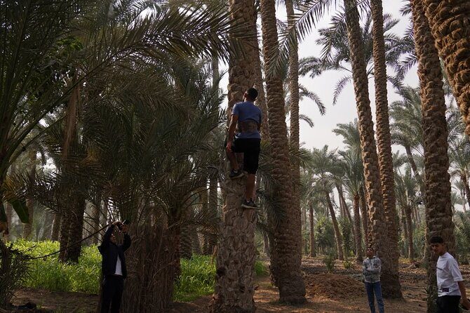 A day like a farmer in Dahsure countryside with locals - Exploring Dahshur: More Than Just Pyramids