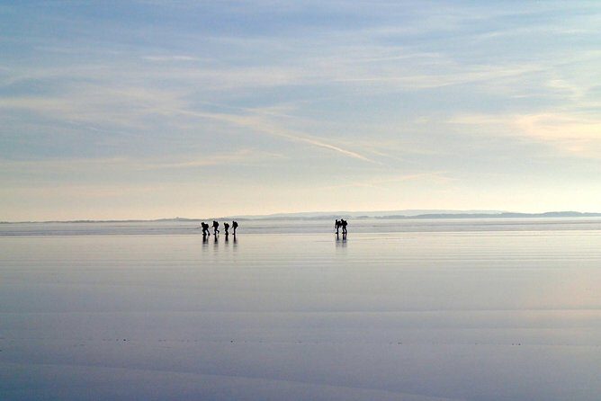A Day on the Ice in Stockholm - Who Will Love This Tour?