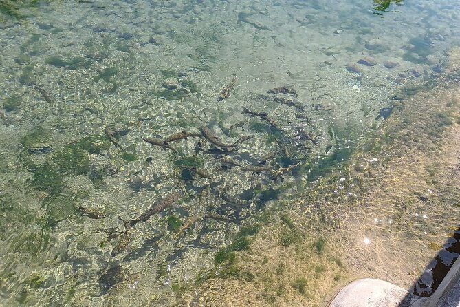 a-day-tour-in-montanejos-hot-springs-2