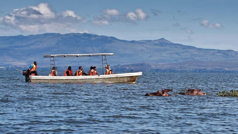A day tour; Lake Nakuru national park and Naivasha Boat ride - Key Points