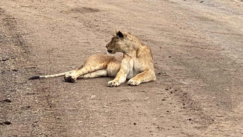 A day tour; Lake Nakuru national park and Naivasha Boat ride - FAQ