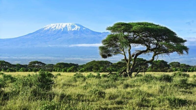 A day tour to Maasai Mara safari from Nairobi - An In-Depth Look at the Maasai Mara Day Tour