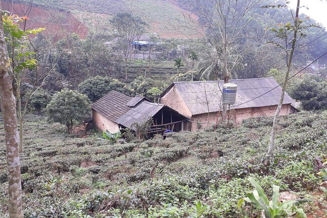 A Day Trekking in Sapa - The Setup: What to Expect on the Day