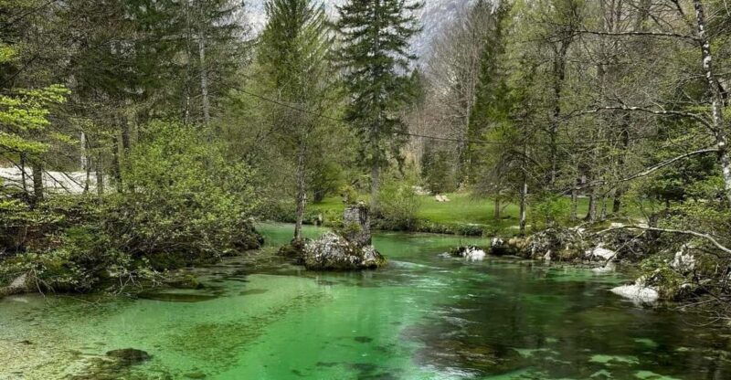 a-day-trip-from-ljubljana-magical-nature-and-lake-bohinj