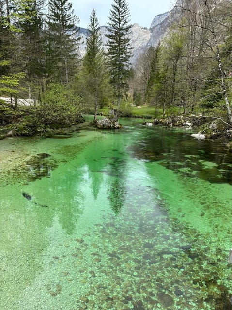 a-day-trip-from-ljubljana-magical-nature-and-lake-bohinj