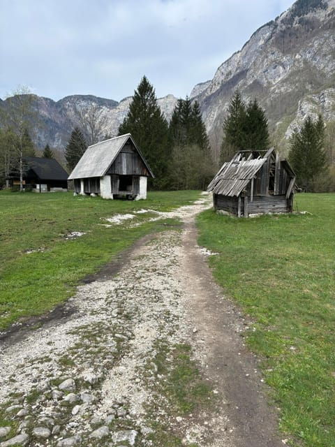 a-day-trip-from-ljubljana-magical-nature-and-lake-bohinj