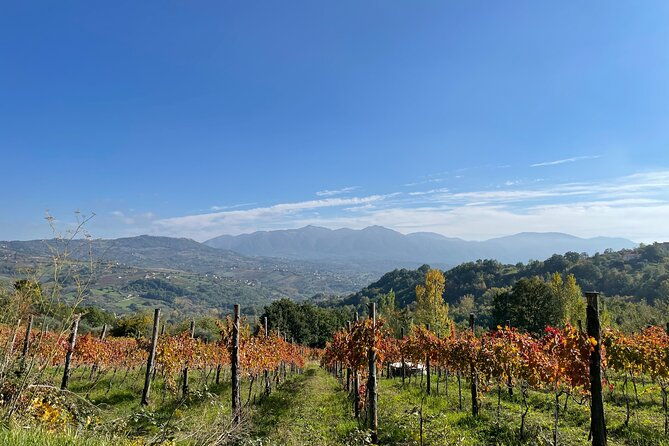 a-day-trip-from-naples-irpinia-a-land-of-history-wine