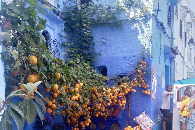 A day trip to chefchaouen from tangier - Overview of the Experience