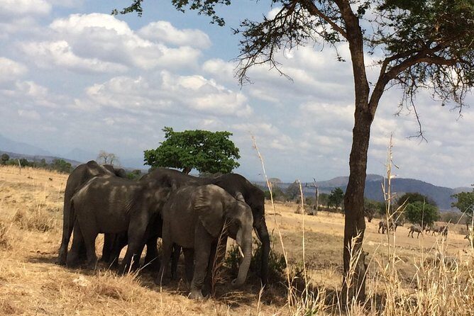 A day trip to mikumi from morogoro - Final Thoughts