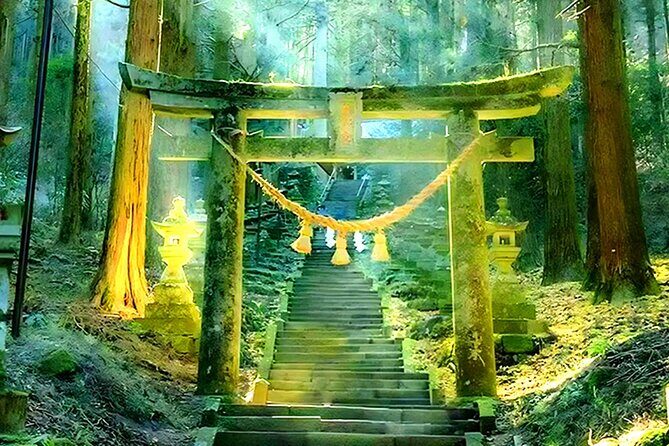 A Day Trip to Mount Aso from Fukuoka - Transportation & Practical Aspects