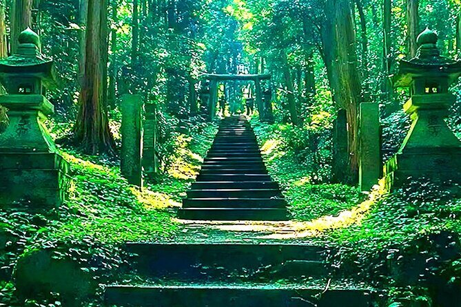 A Day Trip to Mount Aso from Fukuoka - FAQ