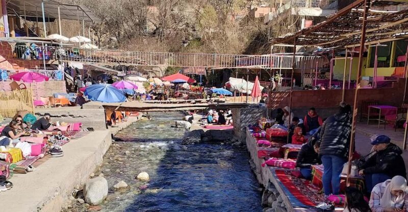 A day trip to Ourika valley and Atlas Mountains - Natural and Cultural Highlights