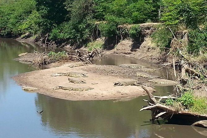 A Day Trip To Saadani National Park From Dar es salaam / Zanzibar - The park’s entrance fee and value