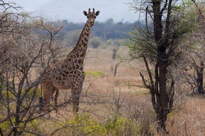 A Day Trip To Saadani National Park From Dar es salaam / Zanzibar - Final thoughts
