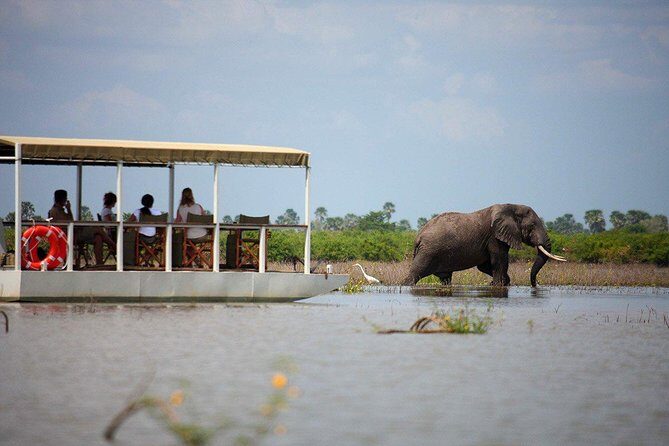 A Day Trip To Selous Fly From Zanzibar - Practical Details That Matter
