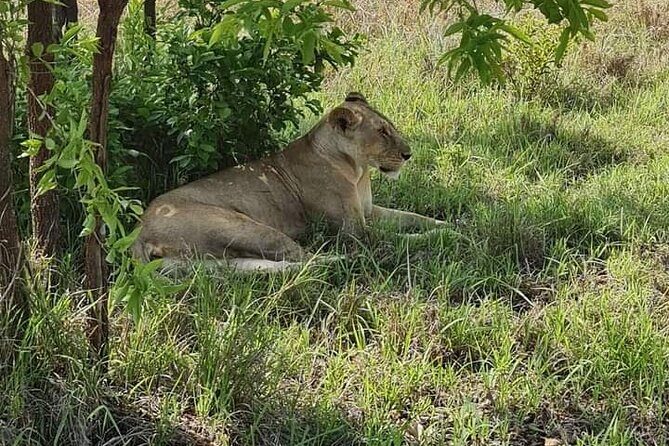 A Day Trip To Selous Fly From Zanzibar - The Sum Up: Who Should Consider This Experience?