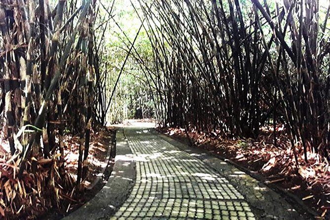 A Day Trip to Tukad Cepung & Rice Terrace - FAQs