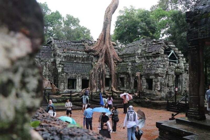 A day with a Portuguese-speaking guide to the temples of Angkor. - Why This Tour Offers Good Value