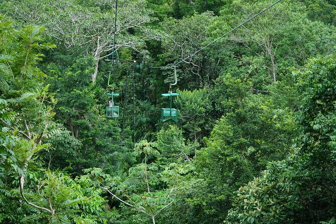 a-day-with-nature-boat-trip-on-gatun-lake-and-the-aerial-tram
