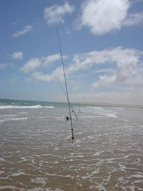 A day's fishing on the Atlantic coast (transport + lunch included) - The Price and Overall Value