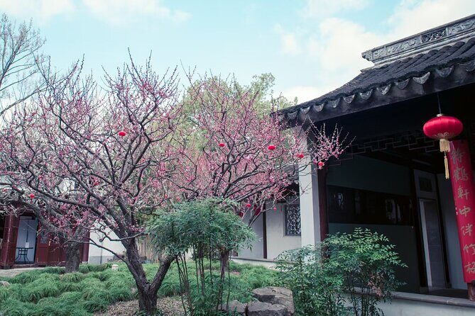 A Deep Dive into Nanxiang Xiaolongbao Culture - Strolling Through Historic Gardens and Ancient Water Towns