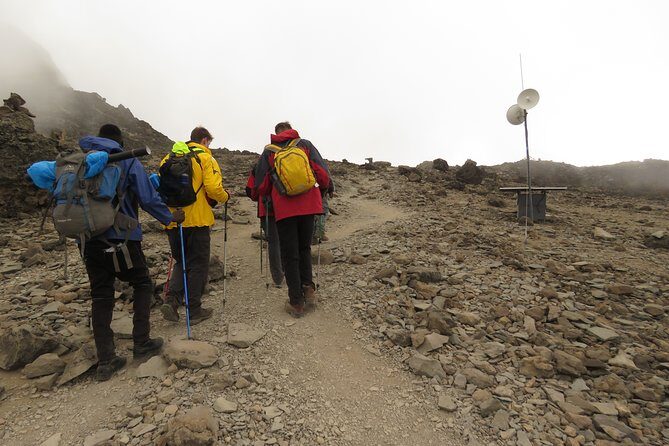 A Definitive Guide For the 7-day Kilimanjaro's Lemosho Route 2025 - Who is this tour best suited for?